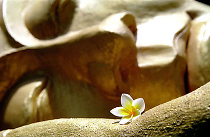 Bouddha et sa fleur