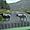 Moutons du Connemara