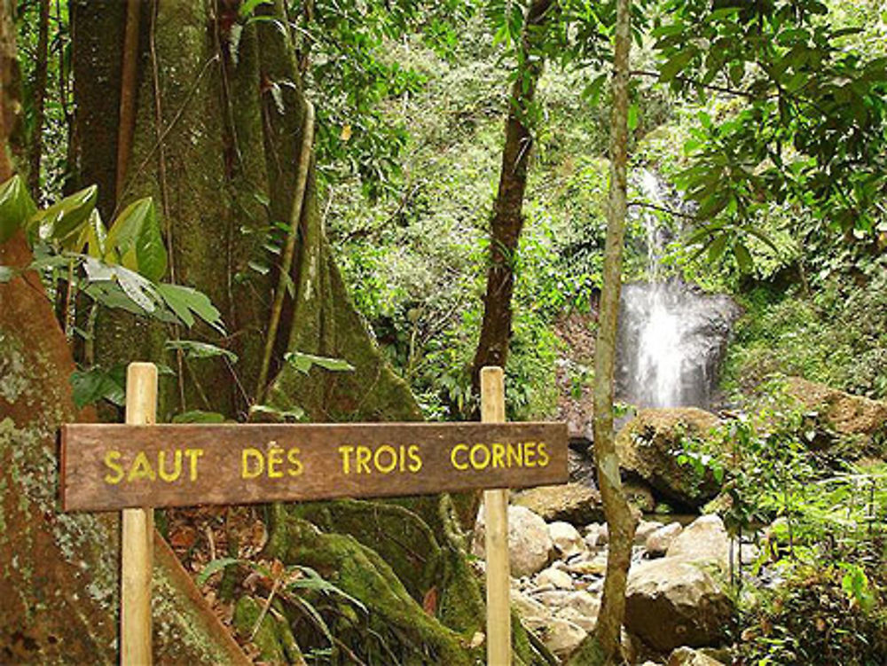 Cascade du saut des 3 cornes