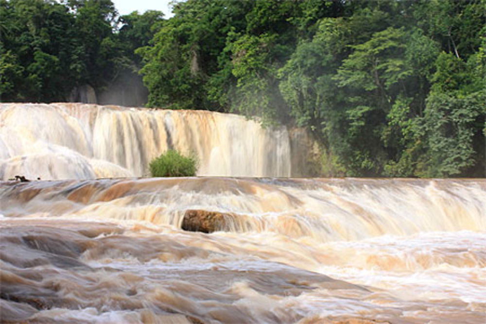 Cascades d'Agua Azul, après la pluie...