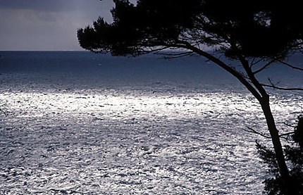 La péninsule de Portofino en Italie