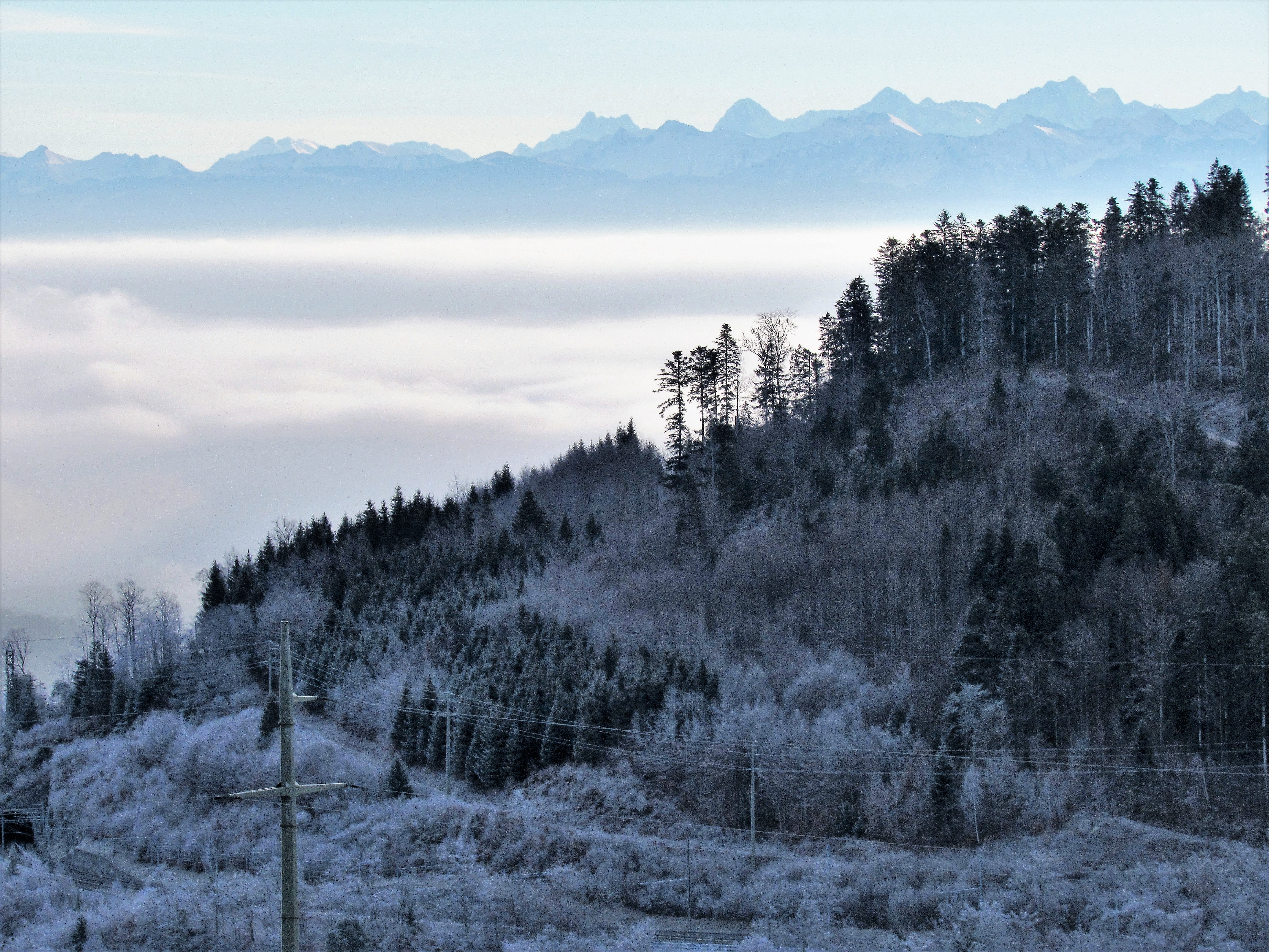Les Alpes bernoises, depuis Ballaigues, Vaud Les Alpes bernoises, depuis Ballaigues, Vaud