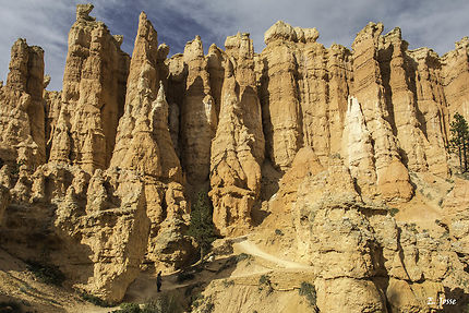 Variation d'ocres au Bryce Canyon