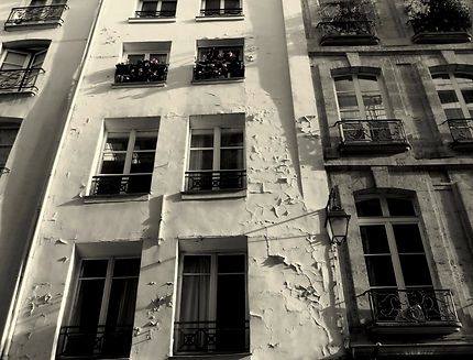 Paris d'hier Quai de l'Hôtel de Ville