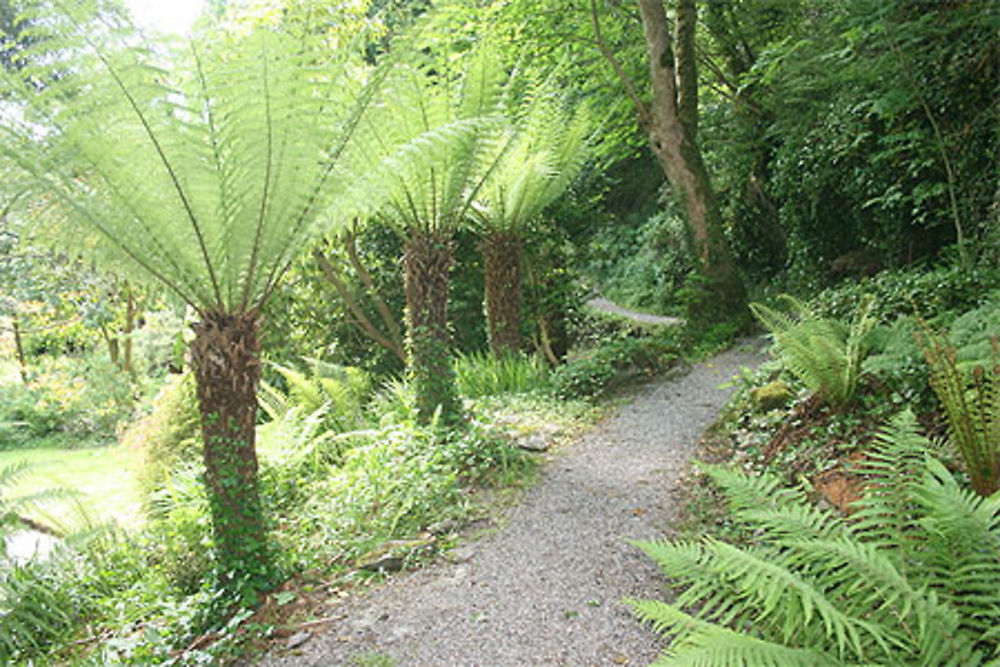 Parc de la Derrynane House