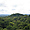 Tikal panorama