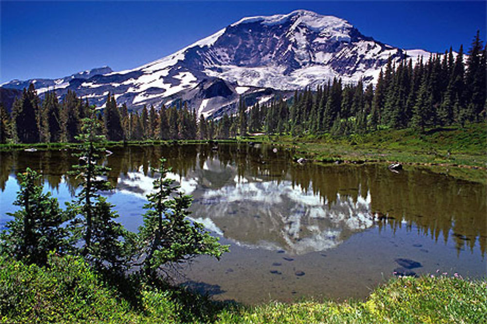 Mont Rainier