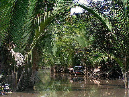 Arroyos de Cân Tho' Arroyos de Cân Tho'