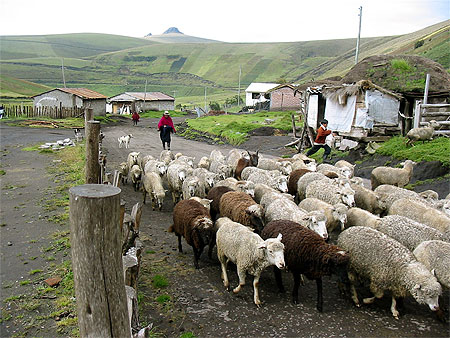 Pulingui San Pablo Pulingui San Pablo