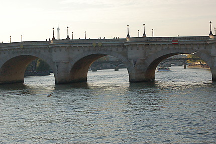 Mouette et bateau-mouche entourant le pont neuf