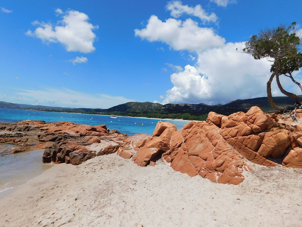 Plage de Palombaggia