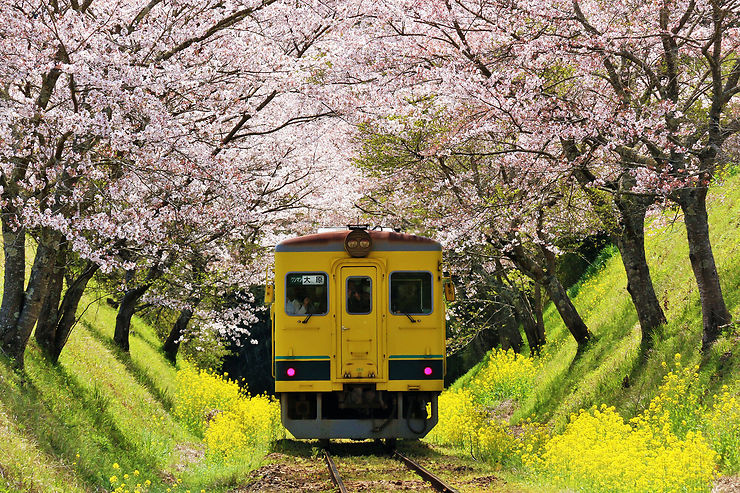 Sillonner le Japon en train