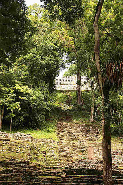 Yaxchilan, vue sur le temple