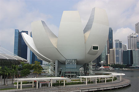 Musée des Arts Musée des Arts