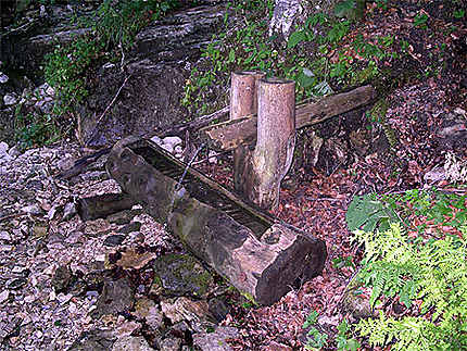 Fontaine des bois