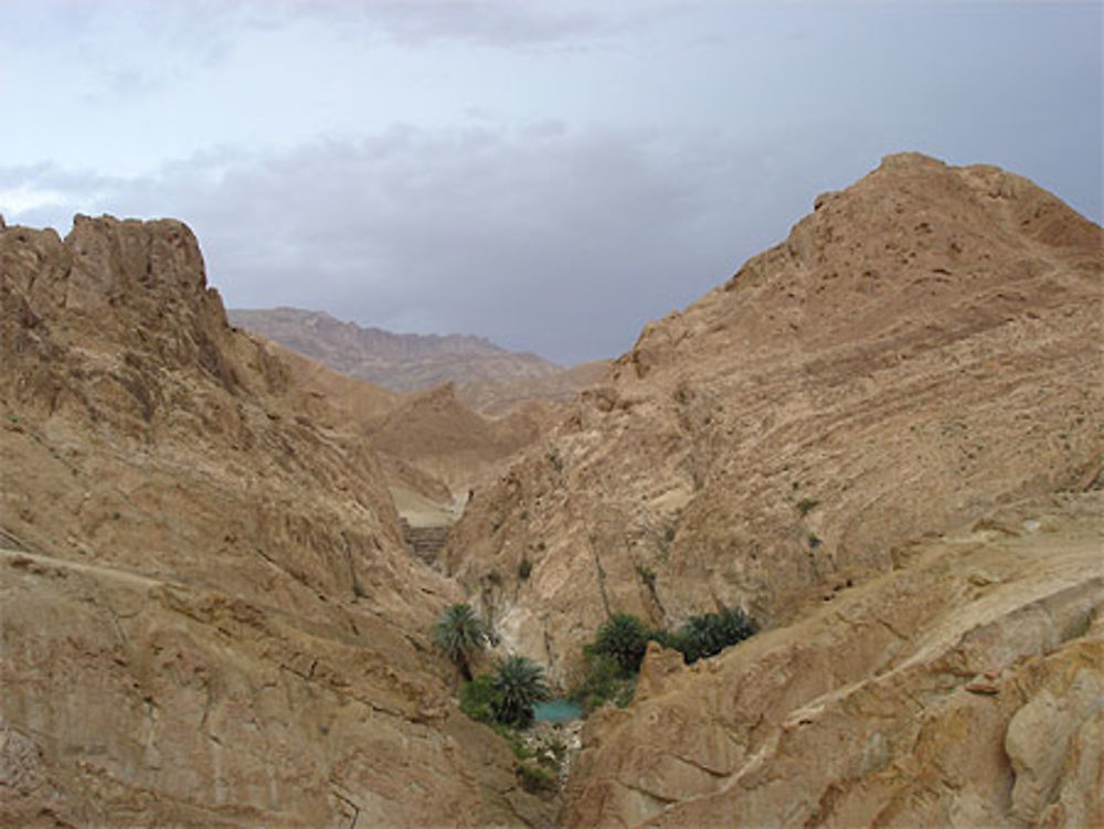 Oasis de montagne