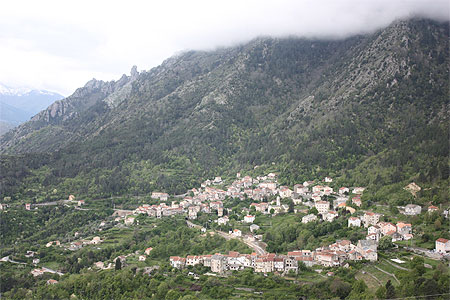 Venaco Venaco