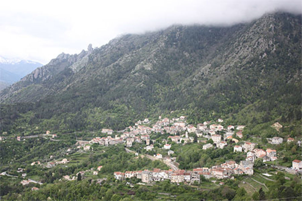 Venaco
