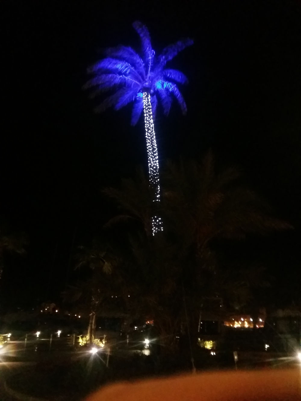 Port de Denia Spain