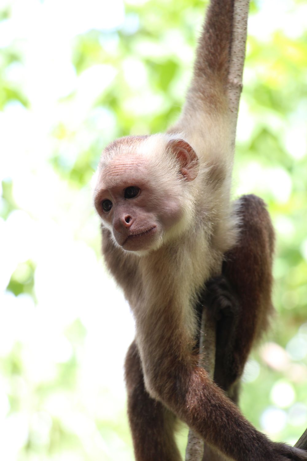 Parc Tayrona