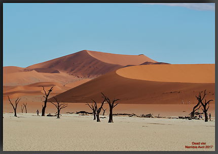 Dead vlei et les dunes de Sossusvlei