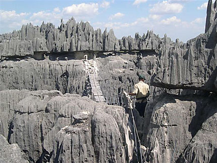 Les tsingy de Bemaraha