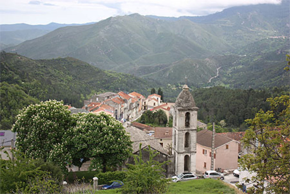 Venaco