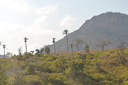 Paysage du Mont Abu