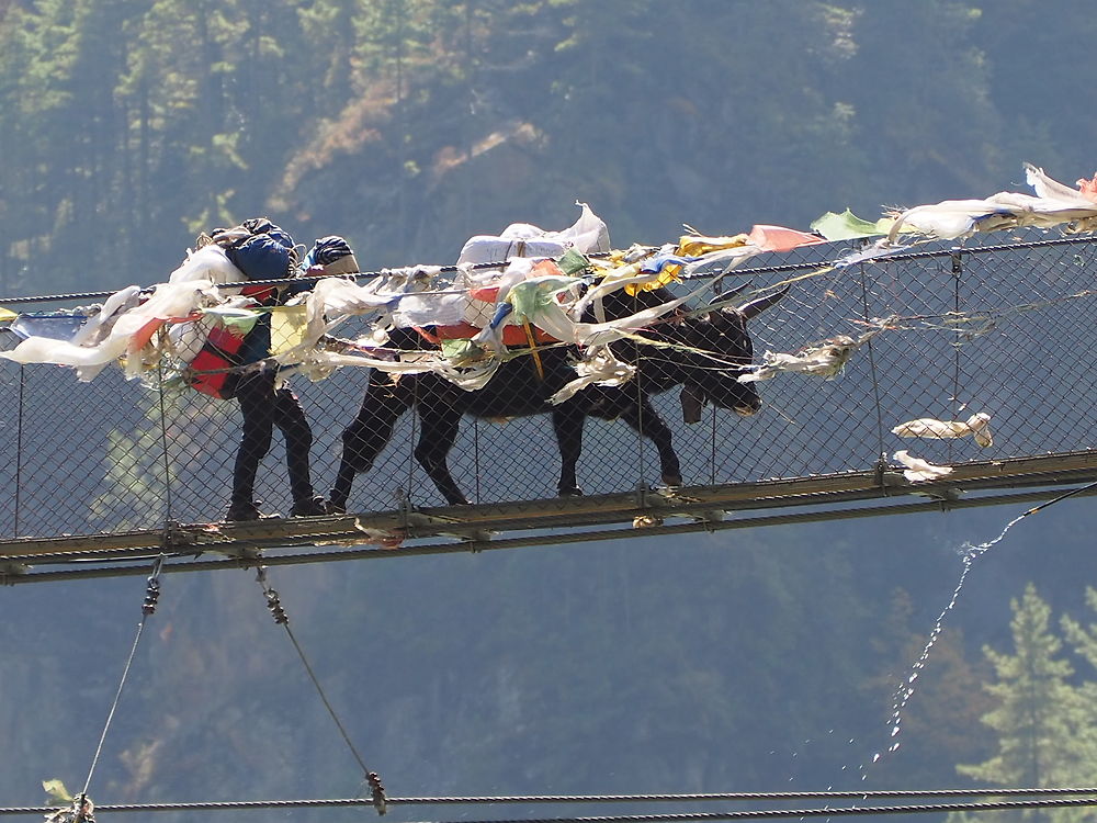 Magnifique passerelle, Sagarmatha National Park