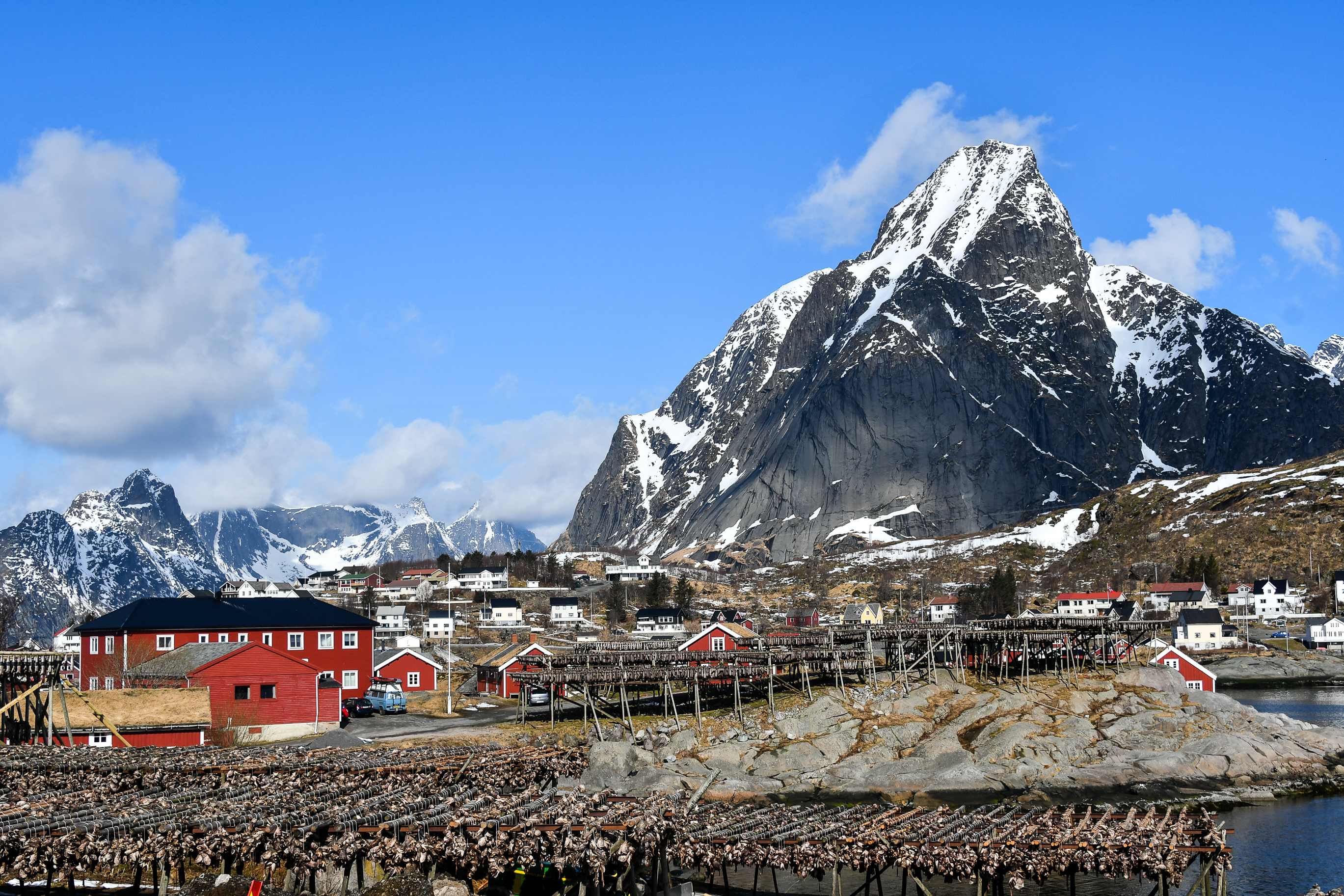 Stockfish, Norvège Stockfish, Norvège