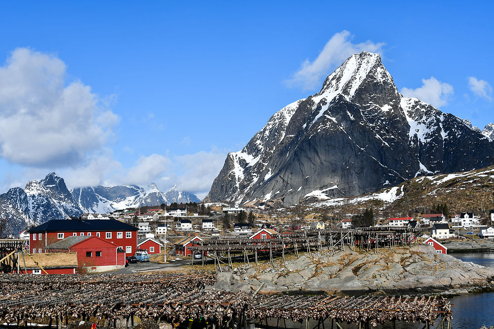 Stockfish, Norvège