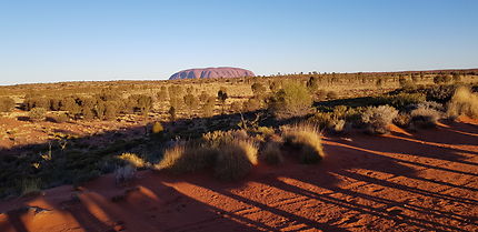 Coucher de soleil sur Uluru à dos de dromadaire