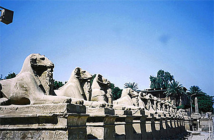 L'Allée des criosphinx à Karnak