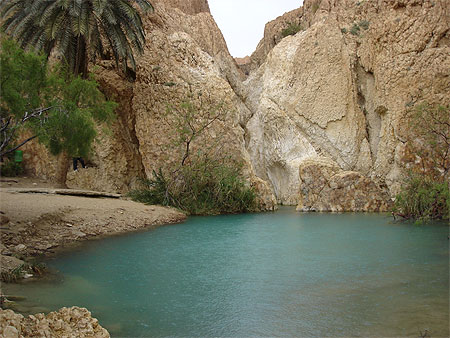 Petit lac dans l'oasis de Chebika Petit lac dans l'oasis de Chebika