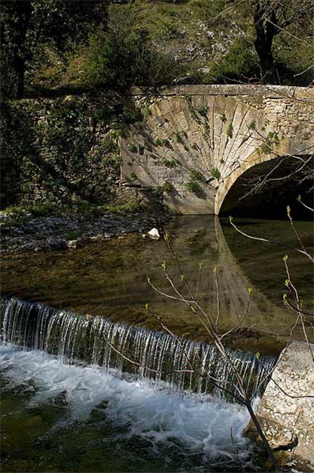 Pont à coquille