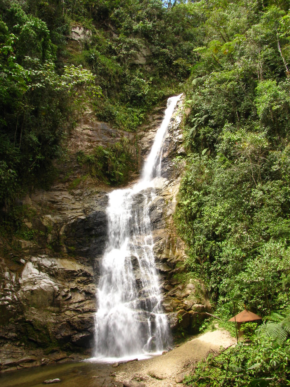 Cascade du parc podocarpus Zamora