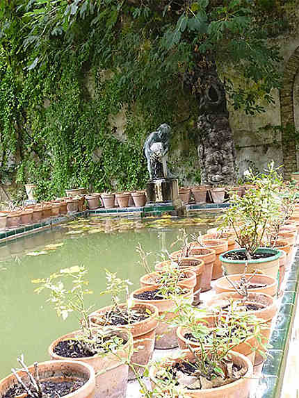 Le petit jardin et la fontaine Bacchus