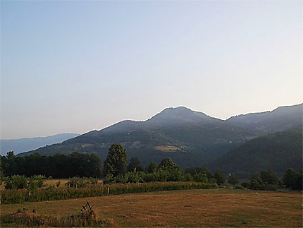 Vallée de la Tara