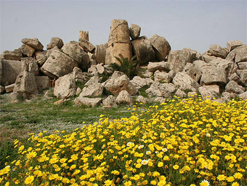 Sélinonte Temple G ruines énormes