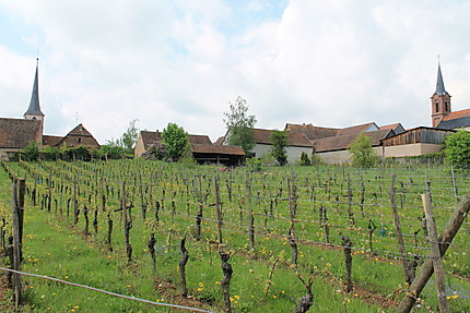 Le beau village de Mittelbergheim