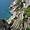 Jolie petite route à Capri