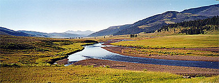 Panorama sur la Lamar Valley