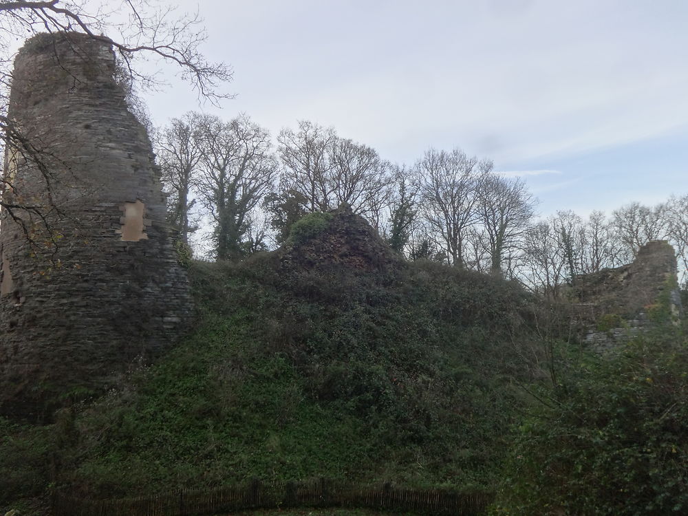 Ruines du Château de Penhoat