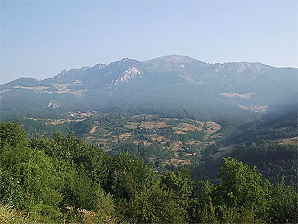 Vallée de la Tara
