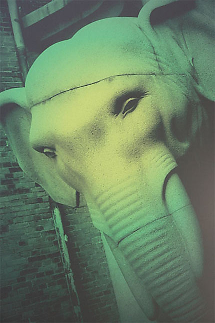 L'éléphant de Carlsberg