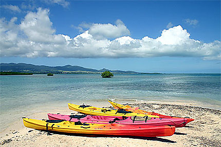Kayaks sur un Îlet