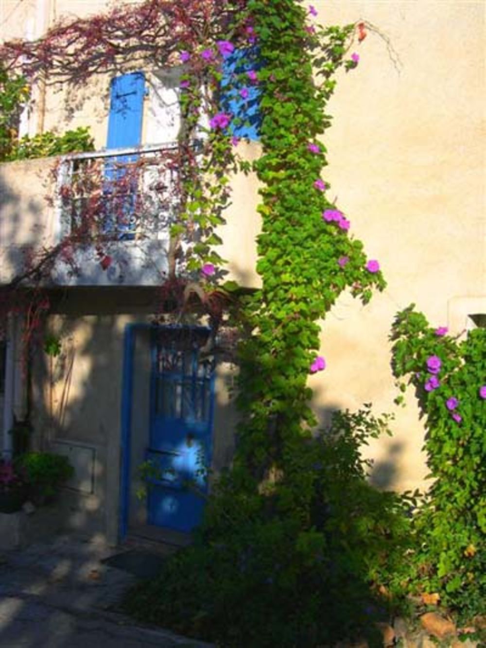 Vauvenargues