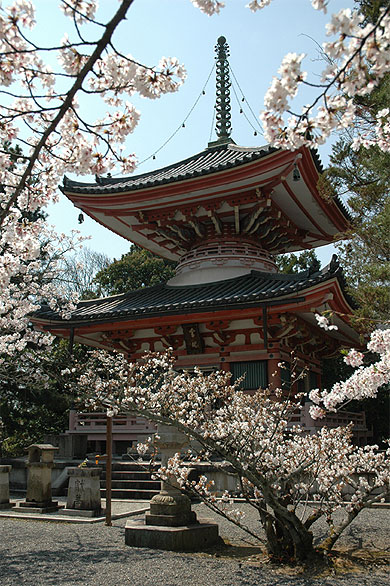 Chion-in au printemps Chion-in au printemps