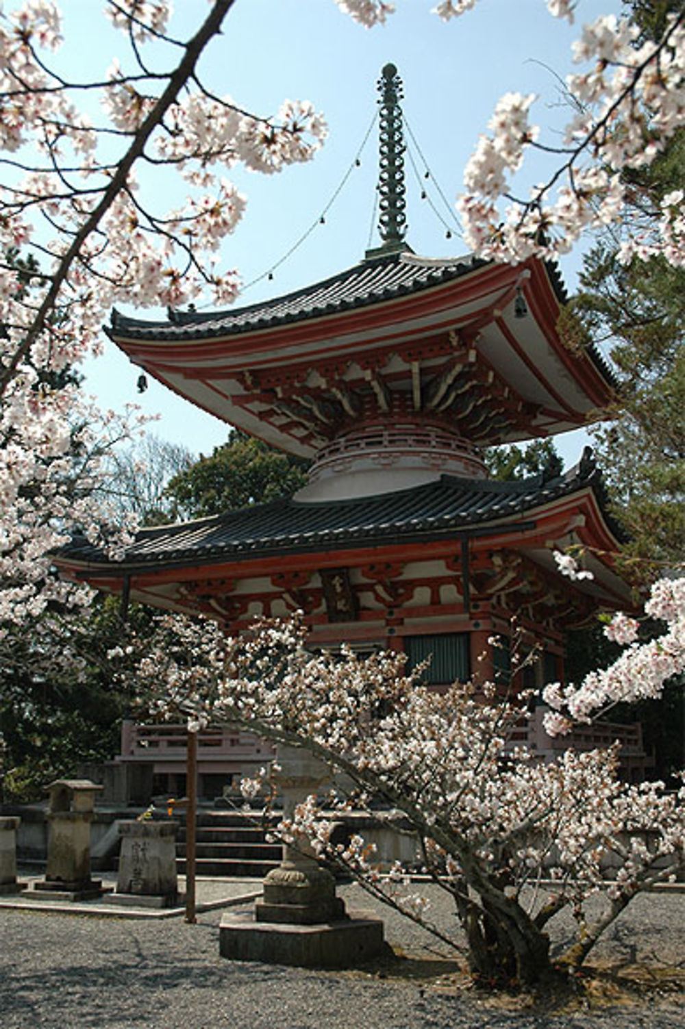 Chion-in au printemps