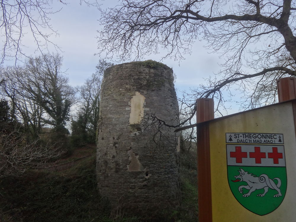 Ruines du Château de Penhoat